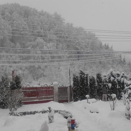 Pensiunea D O R U Arges Hotel Coteneşti Exterior foto