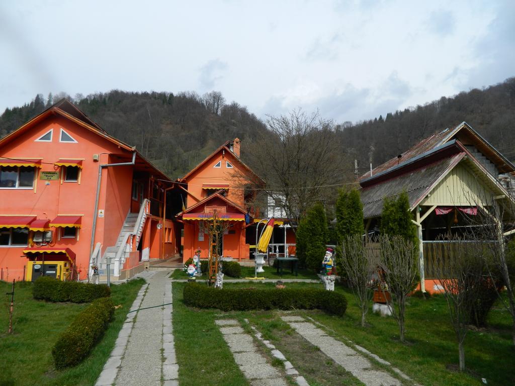 Pensiunea D O R U Arges Hotel Coteneşti Exterior foto