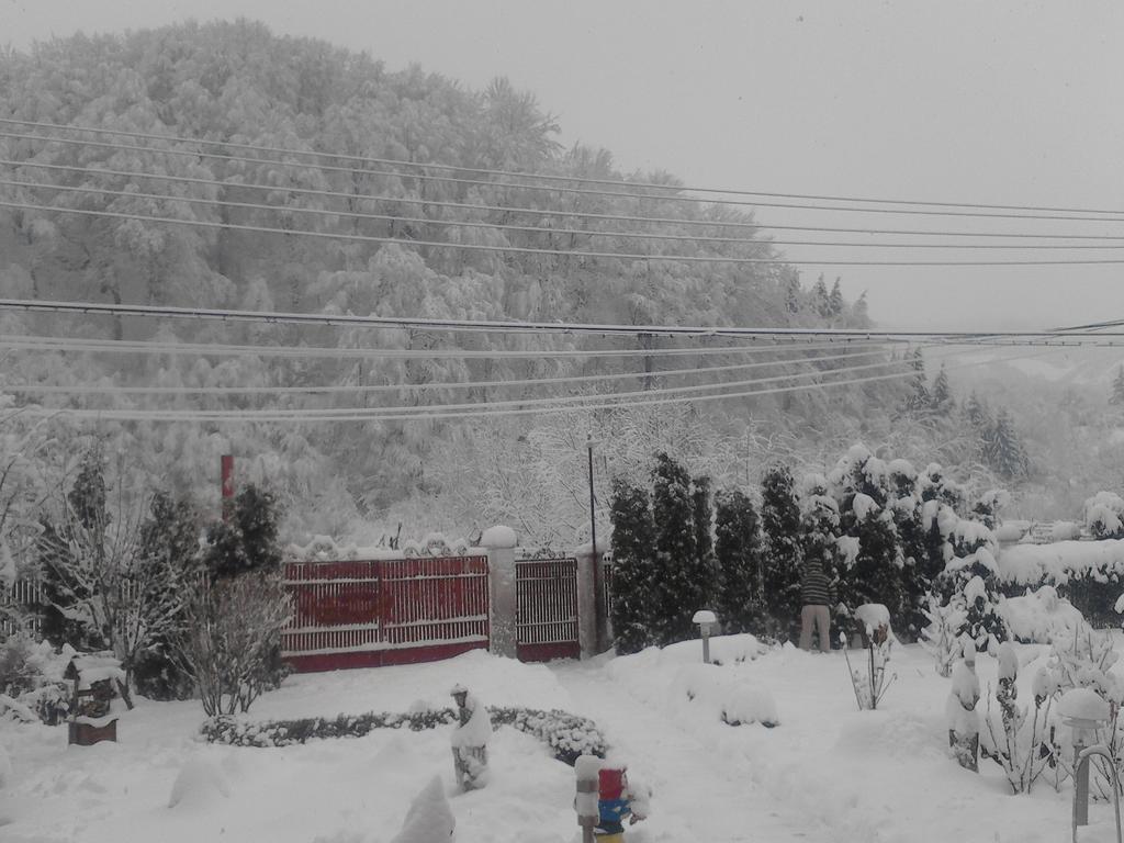 Pensiunea D O R U Arges Hotel Coteneşti Exterior foto